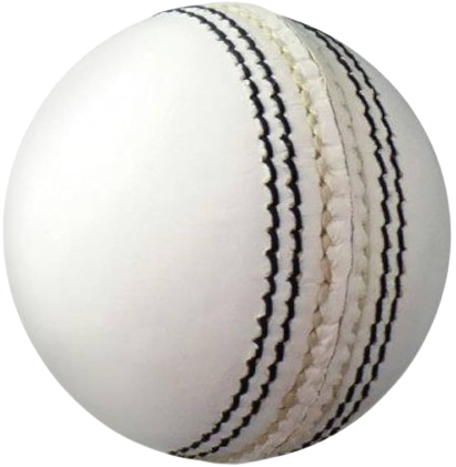 Cricbuzzer